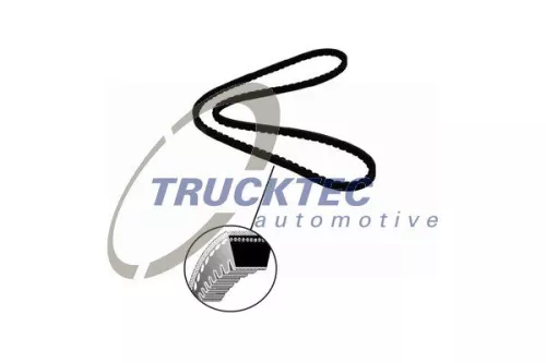 TRUCKTEC AUTOMOTIVE V-Belt (05.19.066)