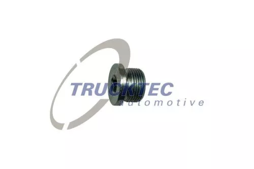 Screw Plug, transmission housing
