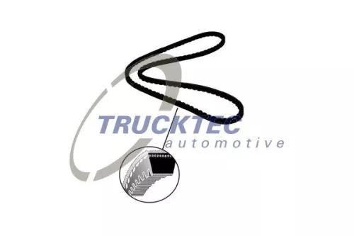 TRUCKTEC AUTOMOTIVE V-Belt (08.19.095)