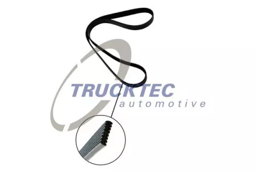 TRUCKTEC AUTOMOTIVE V-Ribbed Belt (08.19.262)