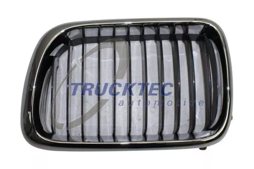 TRUCKTEC AUTOMOTIVE Radiator Grille (08.62.228)