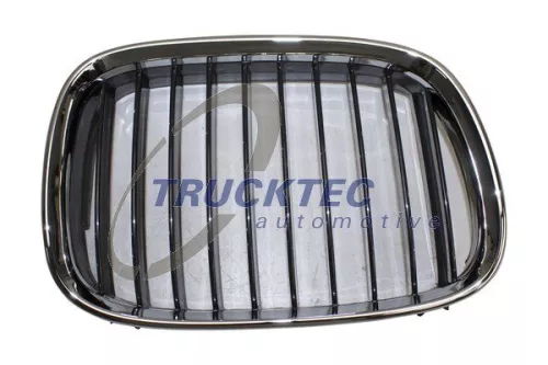 TRUCKTEC AUTOMOTIVE Radiator Grille (08.62.250)