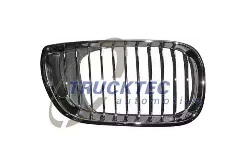 TRUCKTEC AUTOMOTIVE Radiator Grille (08.62.306)