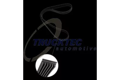 TRUCKTEC AUTOMOTIVE V-Ribbed Belt (02.19.443)