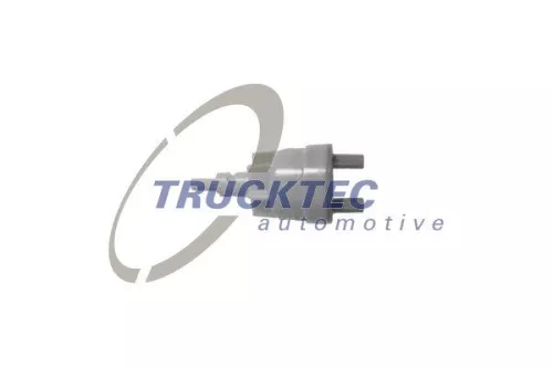 TRUCKTEC AUTOMOTIVE Valve, vacuum pump (02.56.001)