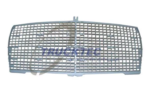 TRUCKTEC AUTOMOTIVE Radiator Grille (02.60.456)